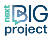 Λογότυπο του digital marketing agency "Next Big Project"
